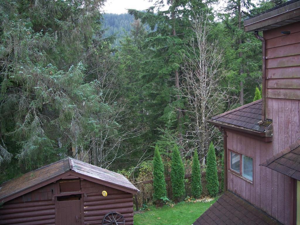 Tall Trees Bed & Breakfast Prince Rupert Zimmer foto